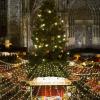 Weihnachtsbaum am Kölner Dom